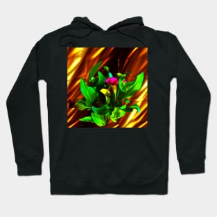 Calla Hoodie